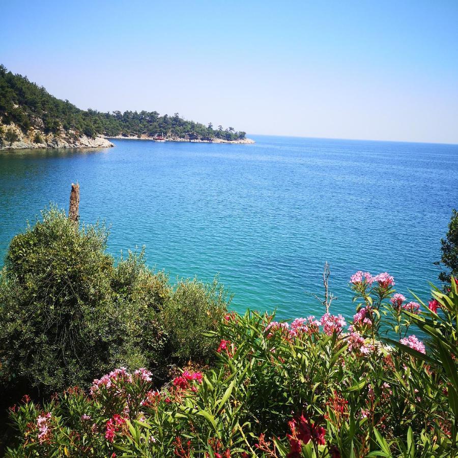 Bel Air Villa Skala Potamia  Buitenkant foto